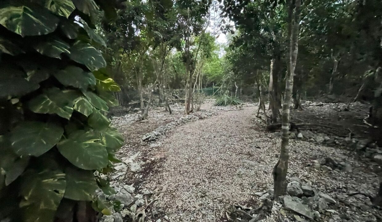 WhatsApp Image 2026-03-27 at 1.10.37 PM (3)